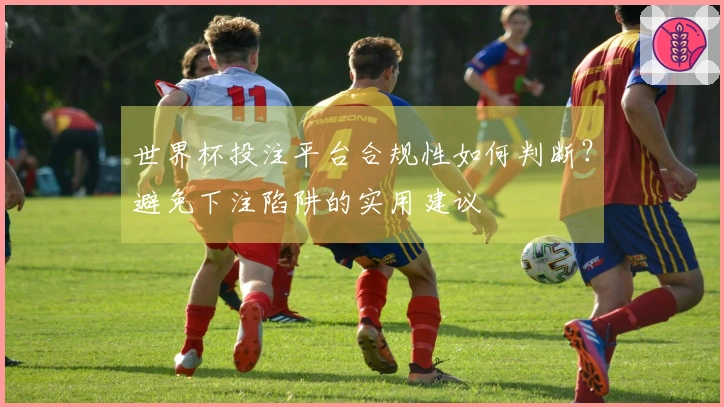 世界杯投注平台合规性如何判断？避免下注陷阱的实用建议