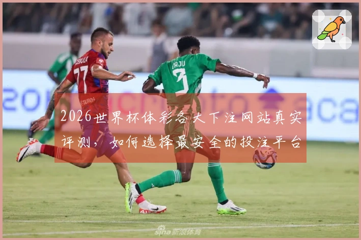 2026世界杯体彩各大下注网站真实评测，如何选择最安全的投注平台？