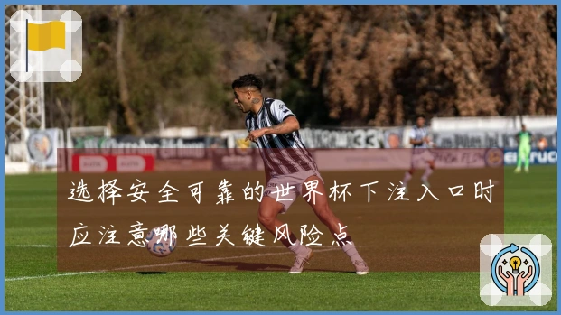 选择安全可靠的世界杯下注入口时应注意哪些关键风险点
