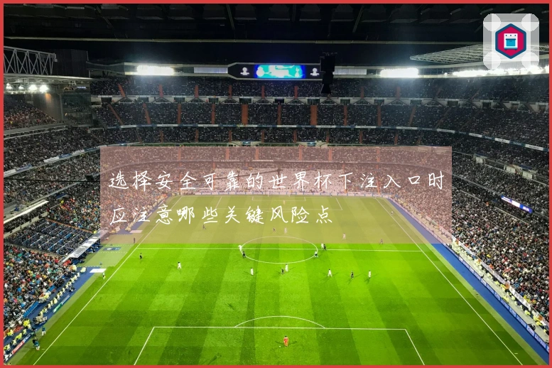 选择安全可靠的世界杯下注入口时应注意哪些关键风险点