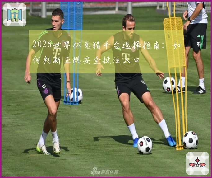 2026世界杯竞猜平台选择指南：如何判断正规安全投注入口