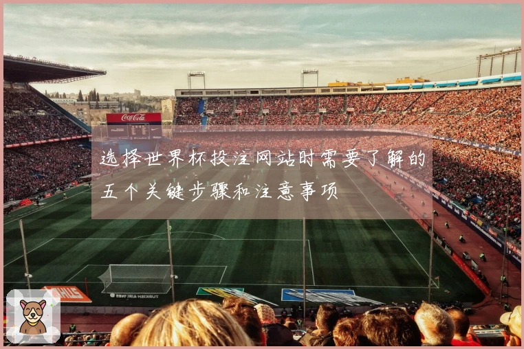 选择世界杯投注网站时需要了解的五个关键步骤和注意事项