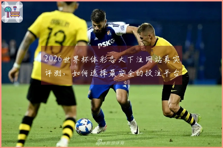 2026世界杯体彩各大下注网站真实评测，如何选择最安全的投注平台？
