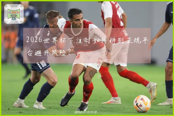 2026世界杯下注时如何辨别正规平台避开风险？