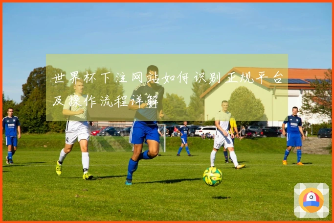 世界杯下注网站如何识别正规平台及操作流程详解